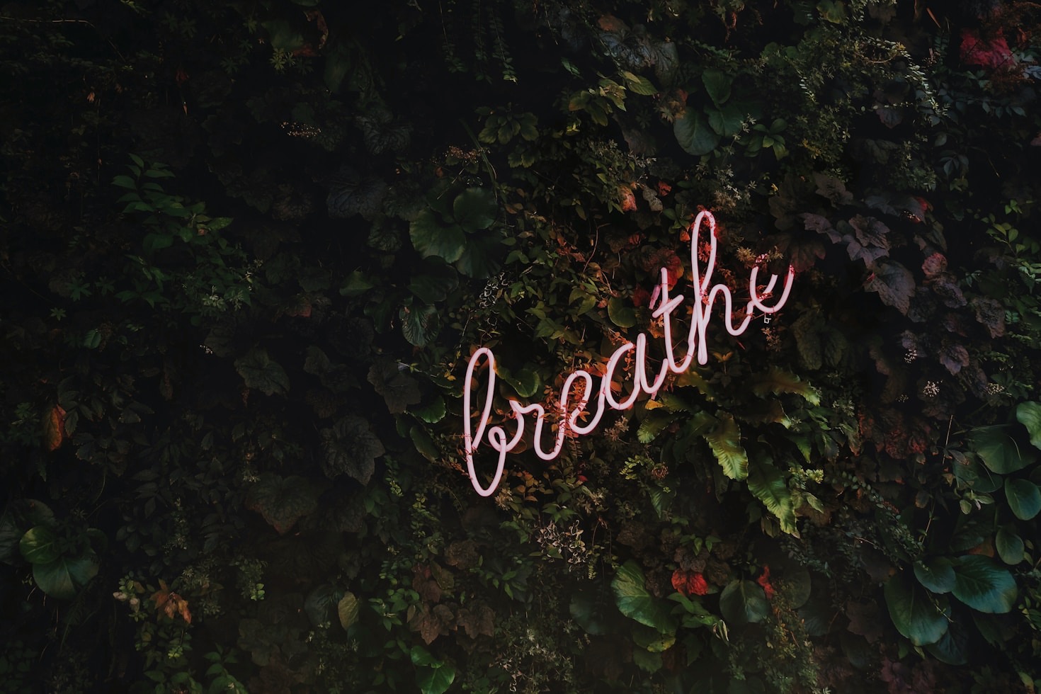 Finding Joy in the Journey of Imperfection